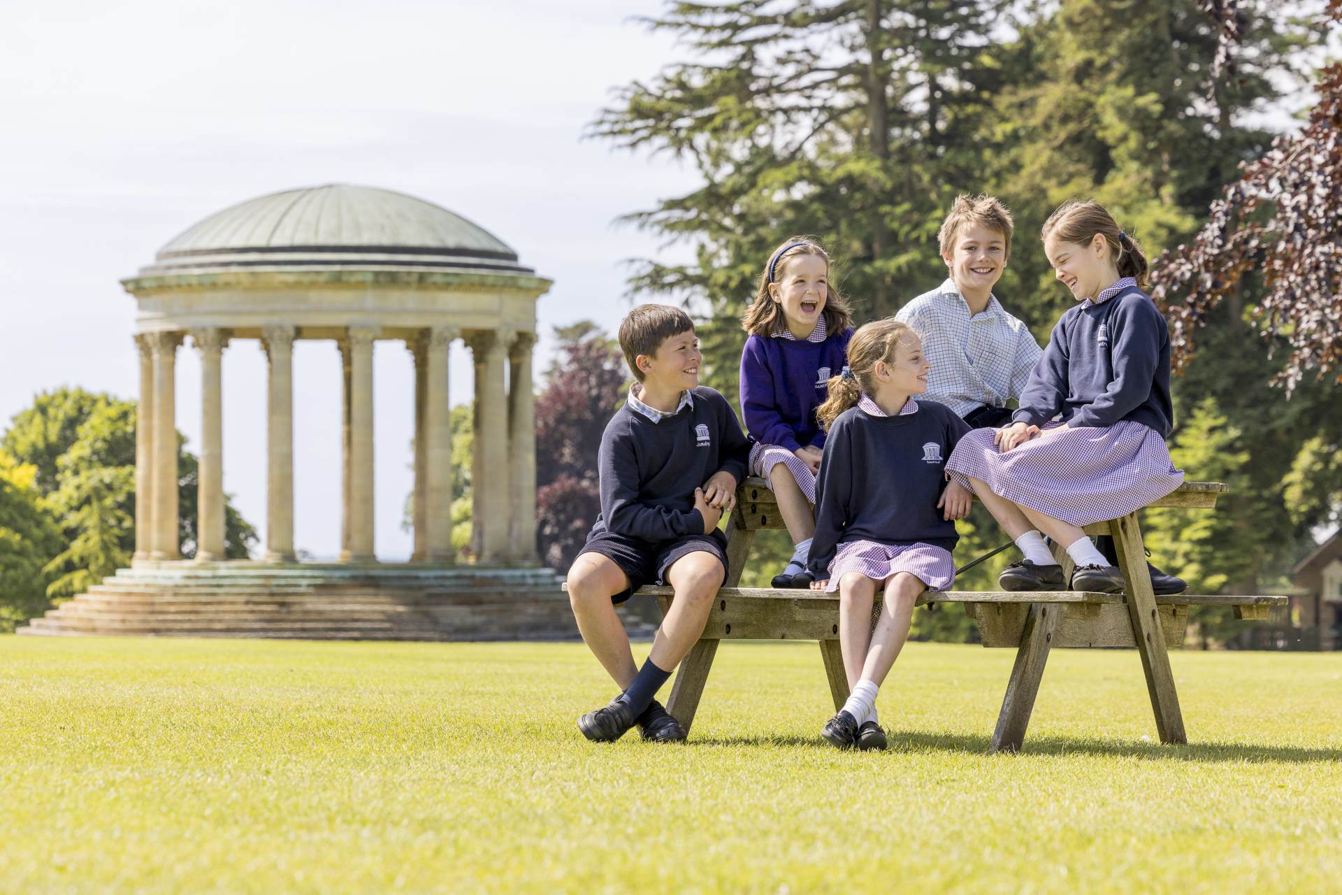 Sandroyd through the lens
