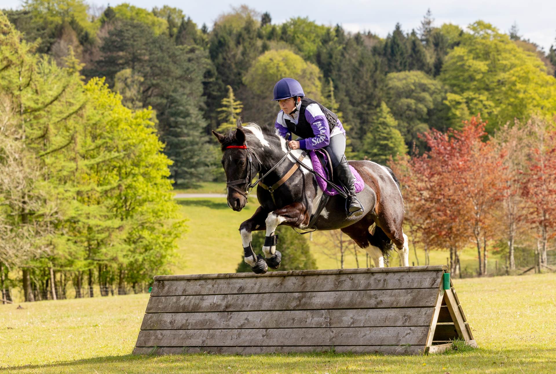 Horse Riding