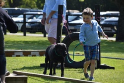 Summer Fete